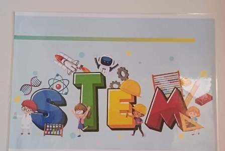 stem